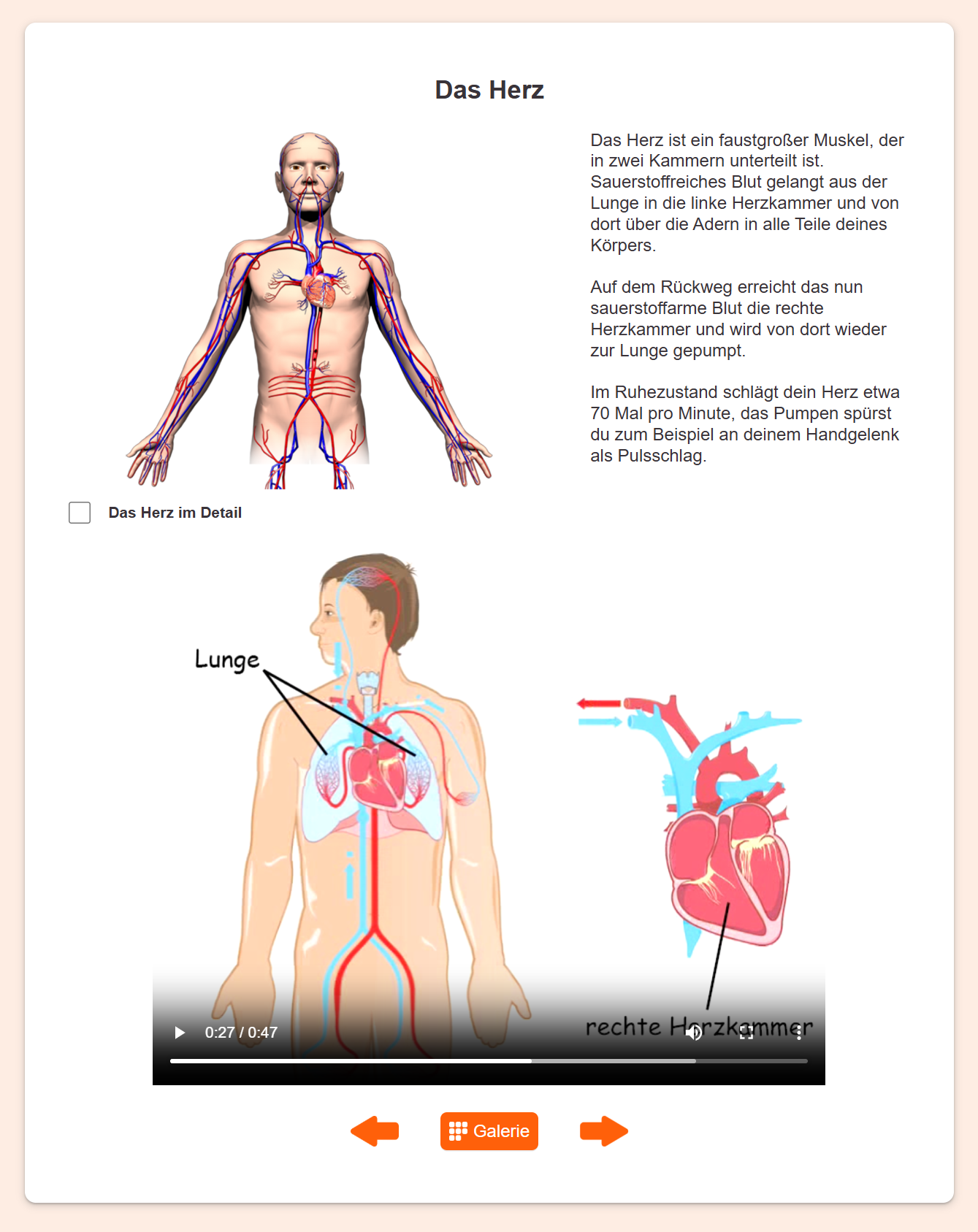 Screenshot LernMax Chemie