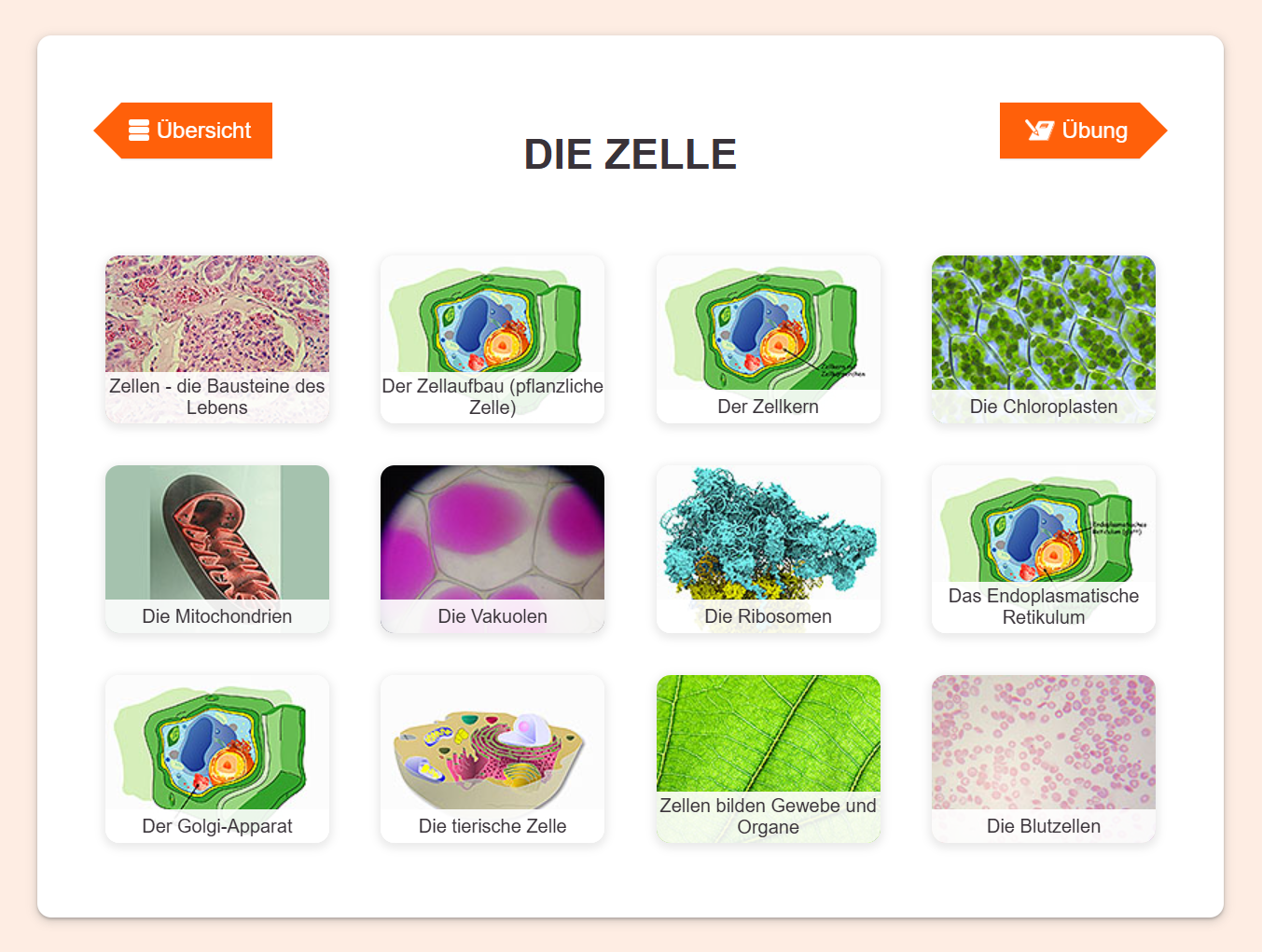 Screenshot LernMax Chemie